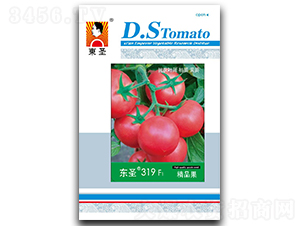 �|ʥ319-���ѷN��-�|ʥ