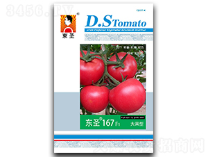 �|ʥ167-���ѷN��-�|ʥ