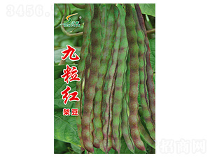 �����t�ܶ�-�ܶ��N��-�S�A�N�I(y��)