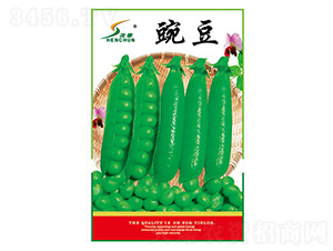 ���㶹�N��-�S�A�N�I(y��)