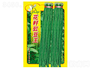 ����������-�����N��-�S�A�N�I(y��)