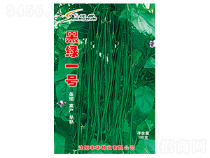 �ھGһ̖-�����N��-�S�A�N�I(y��)