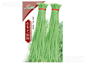 �חl֮��28-�����N��-�S�A�N�I(y��)