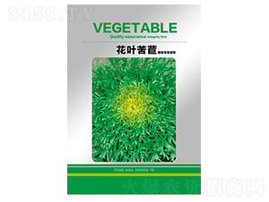 �򴺻��~����-���ķN��-�S�A�N�I(y��)