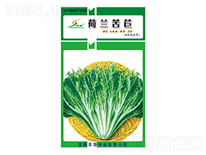 ���m����-���ķN��-�S�A�N�I(y��)