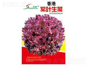 ������~����-���˷N��-�S�A�N�I(y��)