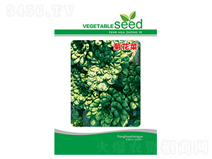 �򴺾ջ��˷N��-�S�A�N�I(y��)