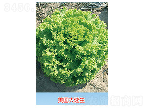 ����(gu��)������-�{(l��n)ɫ���b-���˷N��-�S�A�N�I(y��)