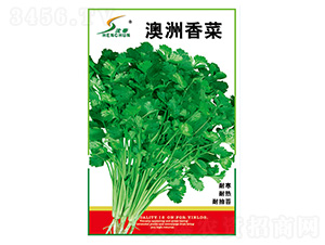 �������-��˷N��-�S�A�N�I(y��)