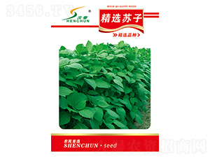 �򴺾��x�K�ӷN��-�S�A�N�I(y��)