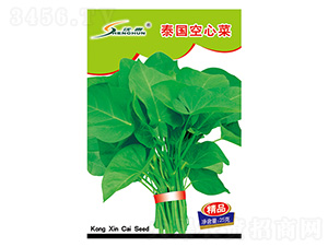 ̩��(gu��)���Ĳ�-���Ĳ˷N��-�S�A�N�I(y��)