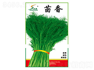 ������N��-�S�A�N�I(y��)