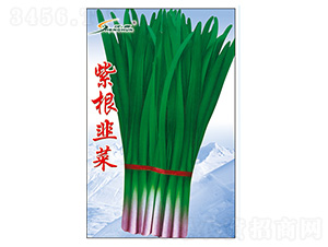 �ϸ��²�-�²˷N��-�S�A�N�I(y��)