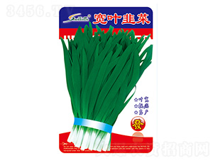 �򴺌��~�²�-�²˷N��-�S�A�N�I(y��)