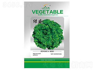 �Gʢ����-���˷N��-�S�A�N�I(y��)