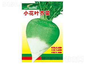 С���~���-�}���N��-�S�A�N�I(y��)