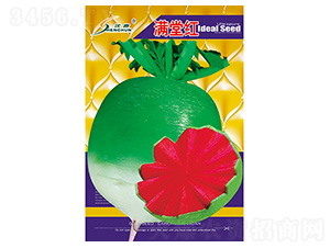 �M�üt-�}���N��-�S�A�N�I(y��)