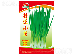 ���xС�[-С�[�N��-�S�A�N�I(y��)