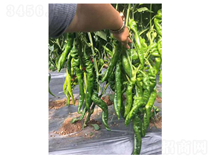 ����798-�����N��-����N��