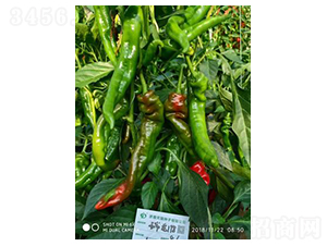 ����198-�����N��-����N��