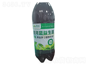 �������ֲ�(zhu��n)�ã�-�����{(l��n)����