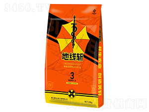 �ؾ���-�в�ʢ��-ʢ������