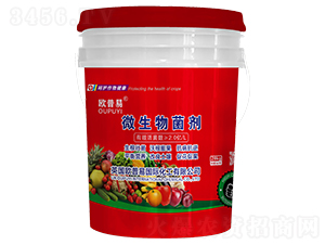 ΢�������-�W����