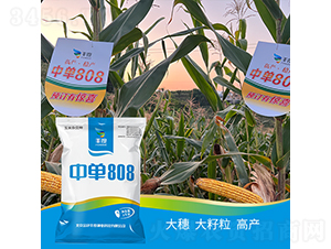 �І�808-���׷N��-�S�ȸ߿�