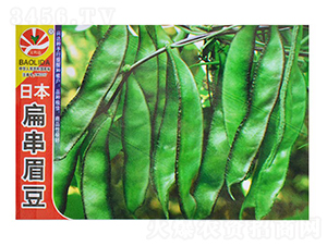 �ձ��⴮ü��-�ⶹ�N��