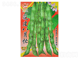 ��Ƥ����æ-�ܶ��N��