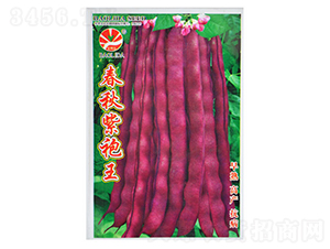 ����������-�|���N��