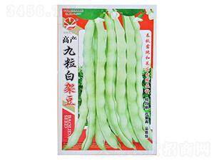 �߮a(ch��n)�����׼ܶ�-�|���N��