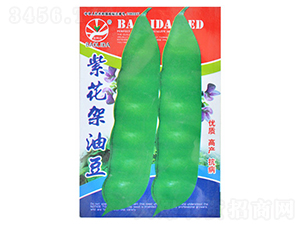 ��ɫ���Ͷ�-�|���N��