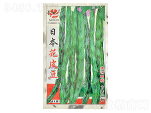 �ձ���Ƥ��-�|���N��