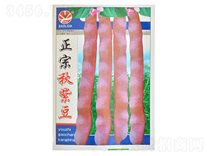 �������϶�-�|���N��