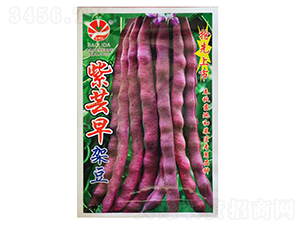 ���|��ܶ�-�|���N��