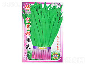 ���ϸ��²�-�²˷N��