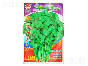 �F�U���~-��˷N��