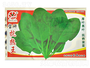 ���п�����-�~�˷N��