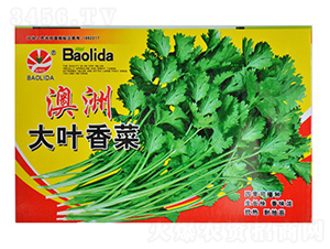 ���޴��~���-��˷N��