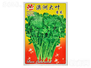 ���޴��~��˷N��-��˷N��