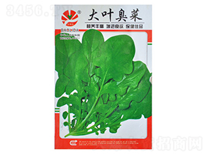 ���~����-�~�˷N��