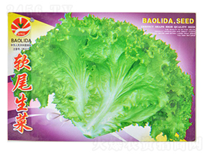 ܛβ����-�~�˷N��