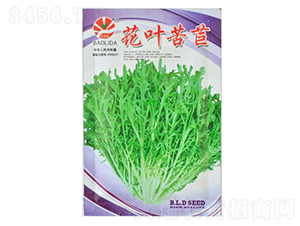 ���~����-�~�˷N��