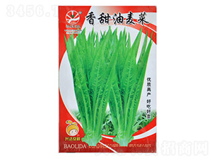 ����������-�~�˷N��