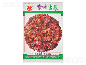 ���~����-�~�˷N��