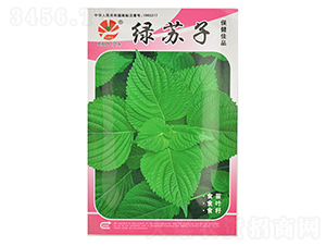 �G�K��-�~�˷N��