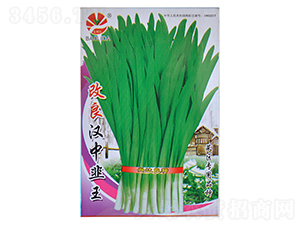 �����h�о���-�~�˷N��