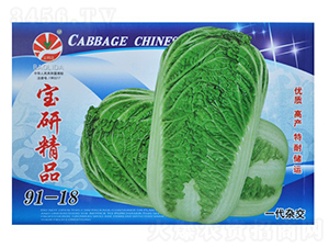 ���о�Ʒ91-18-��˷N��