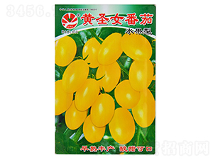 �SʥŮ���ѣ�ˮ���ͣ�-���ѷN��